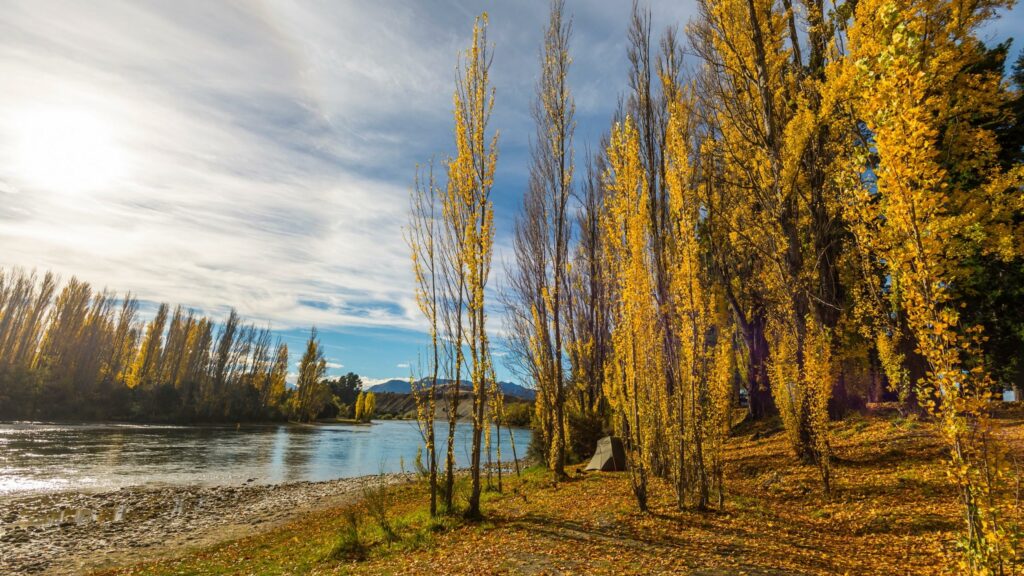 albert town campground