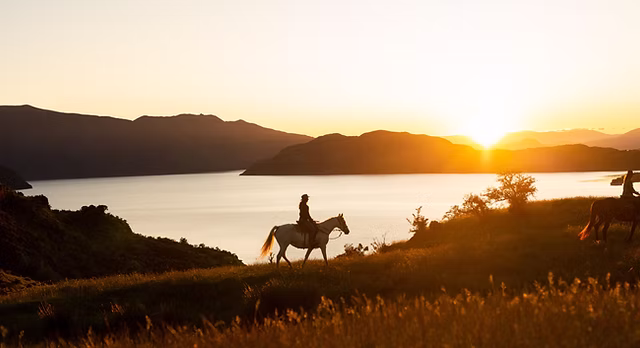 wanaka horse trekking